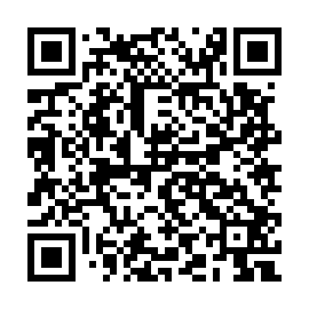 QR code for BIZ502