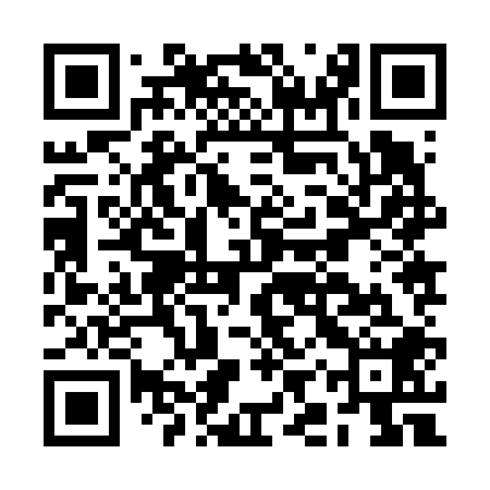 QR code for BIZ608