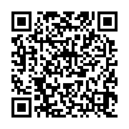 QR code for BJF333