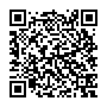 QR code for BJJ338