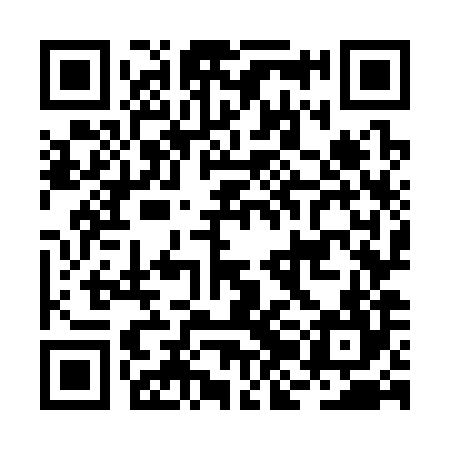 QR code for BJO384