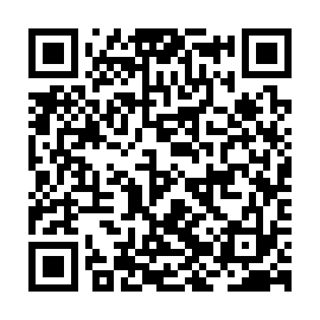QR code for BJS333