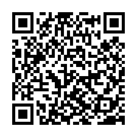 QR code for BJS438