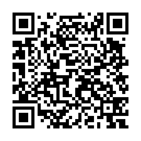 QR code for BKG439