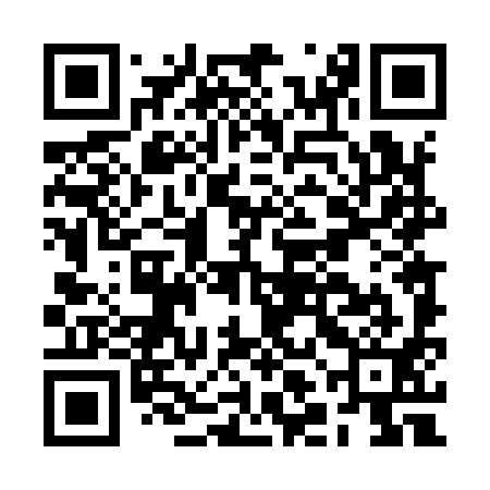 QR code for BLD991