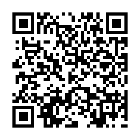 QR code for BLI993