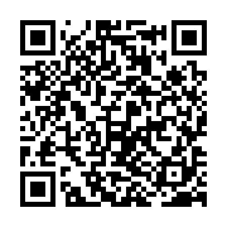 QR code for BLO390