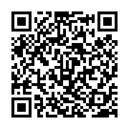 QR code for BLO418