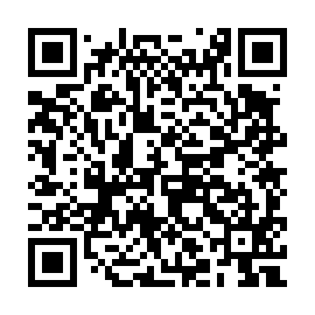 QR code for BLO495