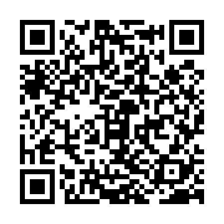QR code for BLO528