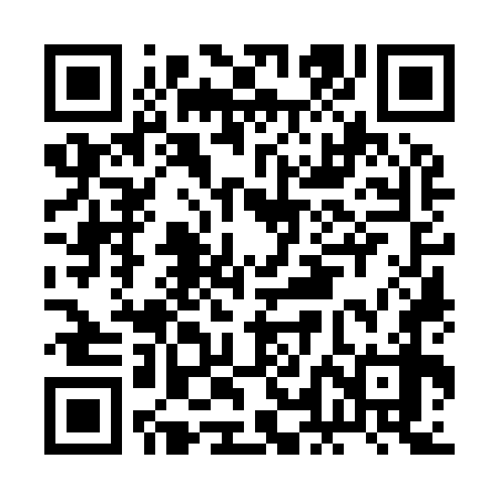 QR code for BLO978