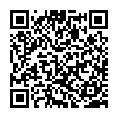 QR code for BLR325