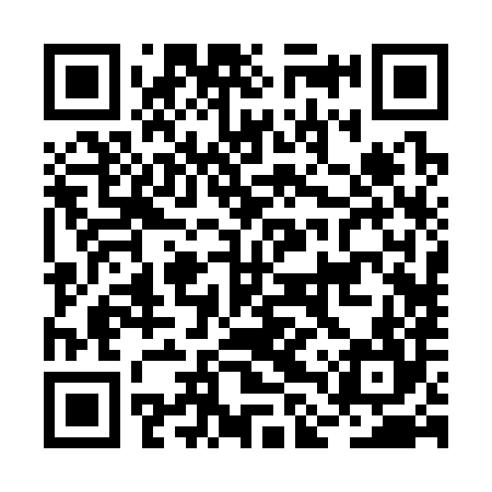 QR code for BLR384