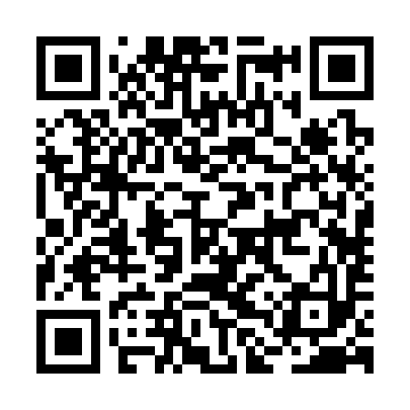 QR code for BLR393