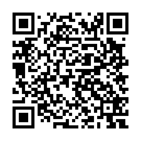 QR code for BLU029