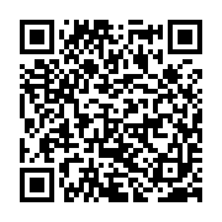 QR code for BLU993