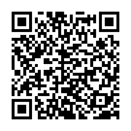 QR code for BLV379
