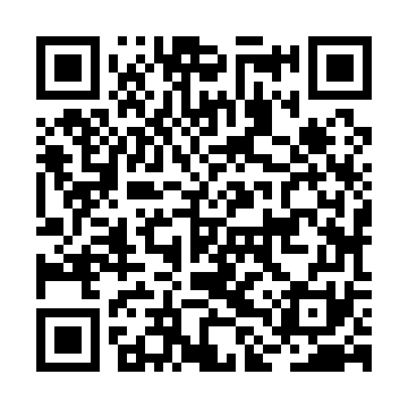 QR code for BLZ171