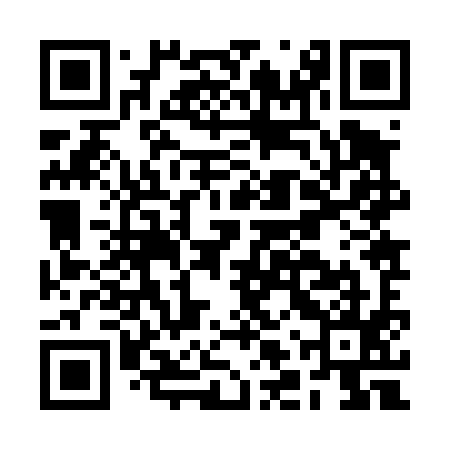 QR code for BLZ495