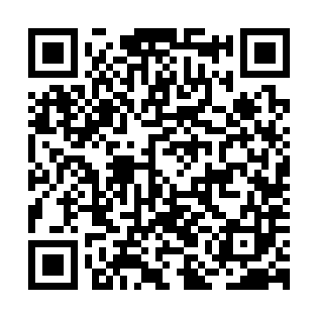 QR code for BMF383
