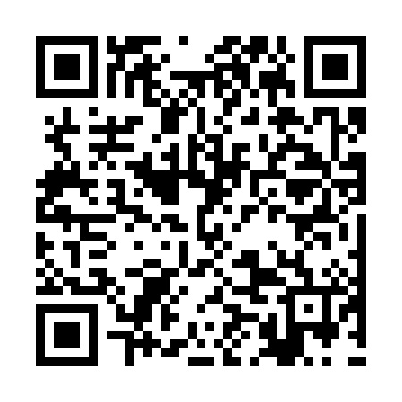 QR code for BMF386