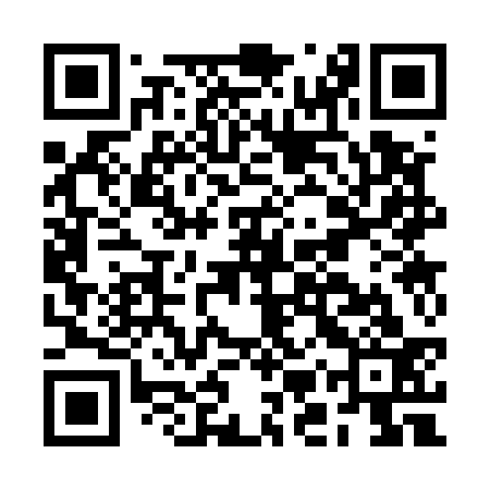 QR code for BMS533