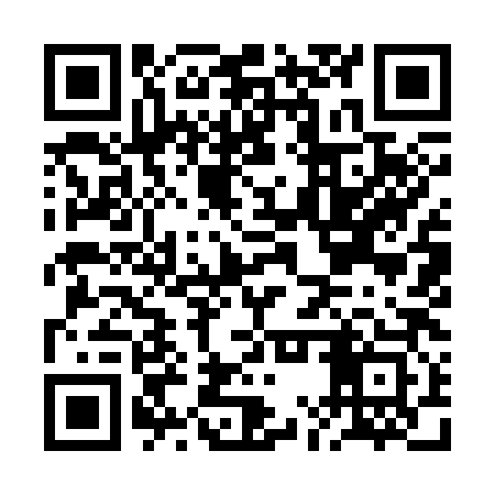 QR code for BMY383