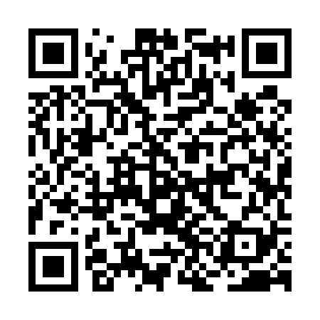 QR code for BNI529