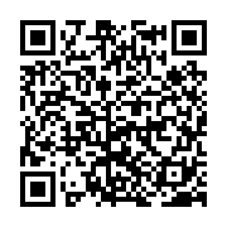 QR code for BNK271