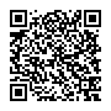 QR code for BNT538
