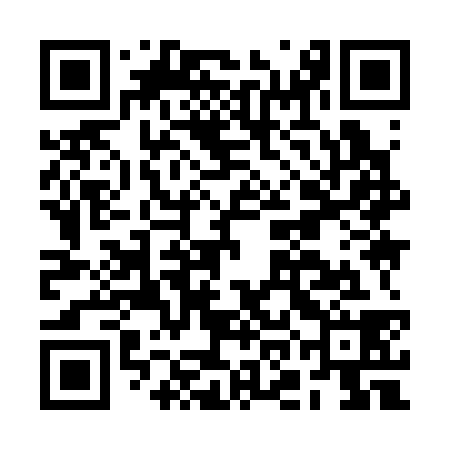 QR code for BOI338