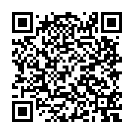 QR code for BOI510