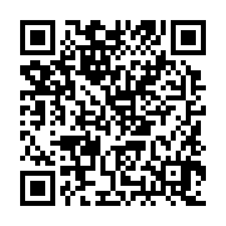 QR code for BOL384