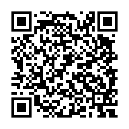 QR code for BON493
