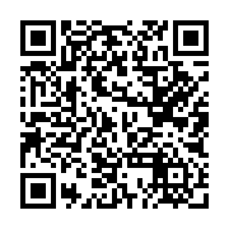 QR code for BOO594