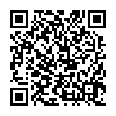QR code for BOR206