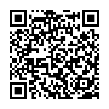 QR code for BOR338