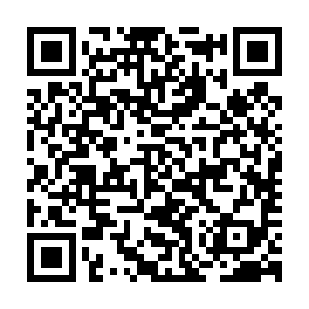 QR code for BOR499