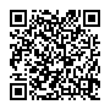 QR code for BOR534