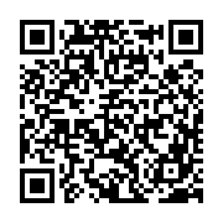 QR code for BOR566
