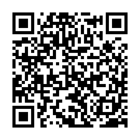 QR code for BOR951