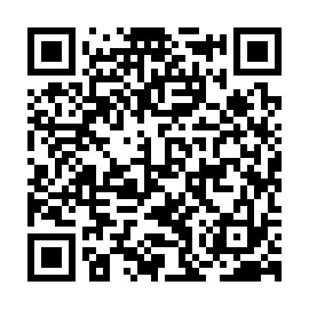 QR code for BOY333