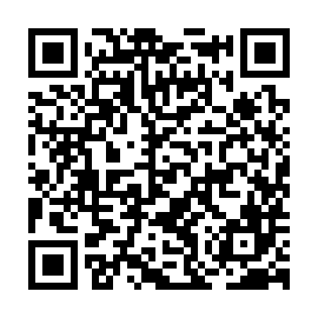 QR code for BOY386