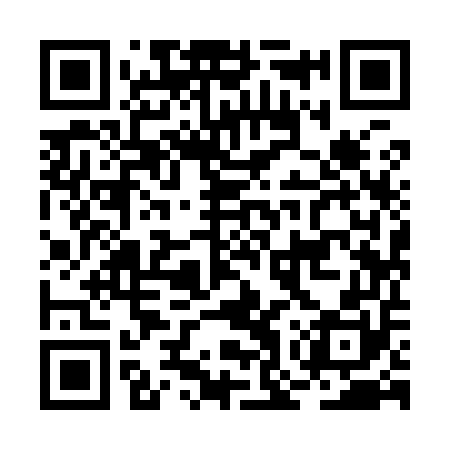 QR code for BOY950