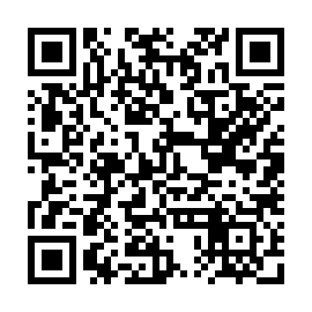 QR code for BPG383