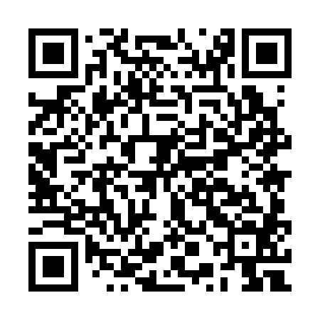 QR code for BPM384