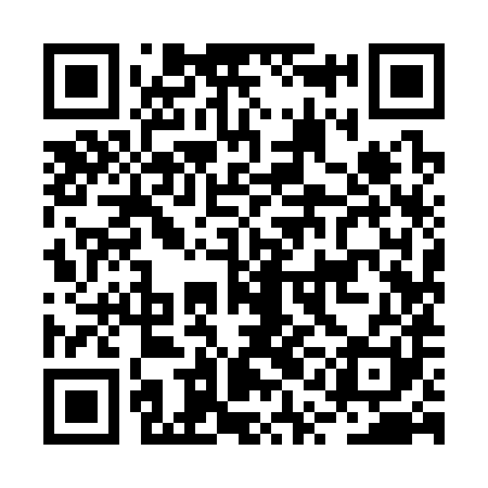 QR code for BQI381