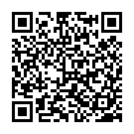 QR code for BRG441