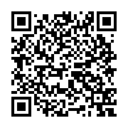 QR code for BRI335