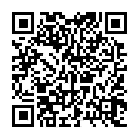 QR code for BRL308